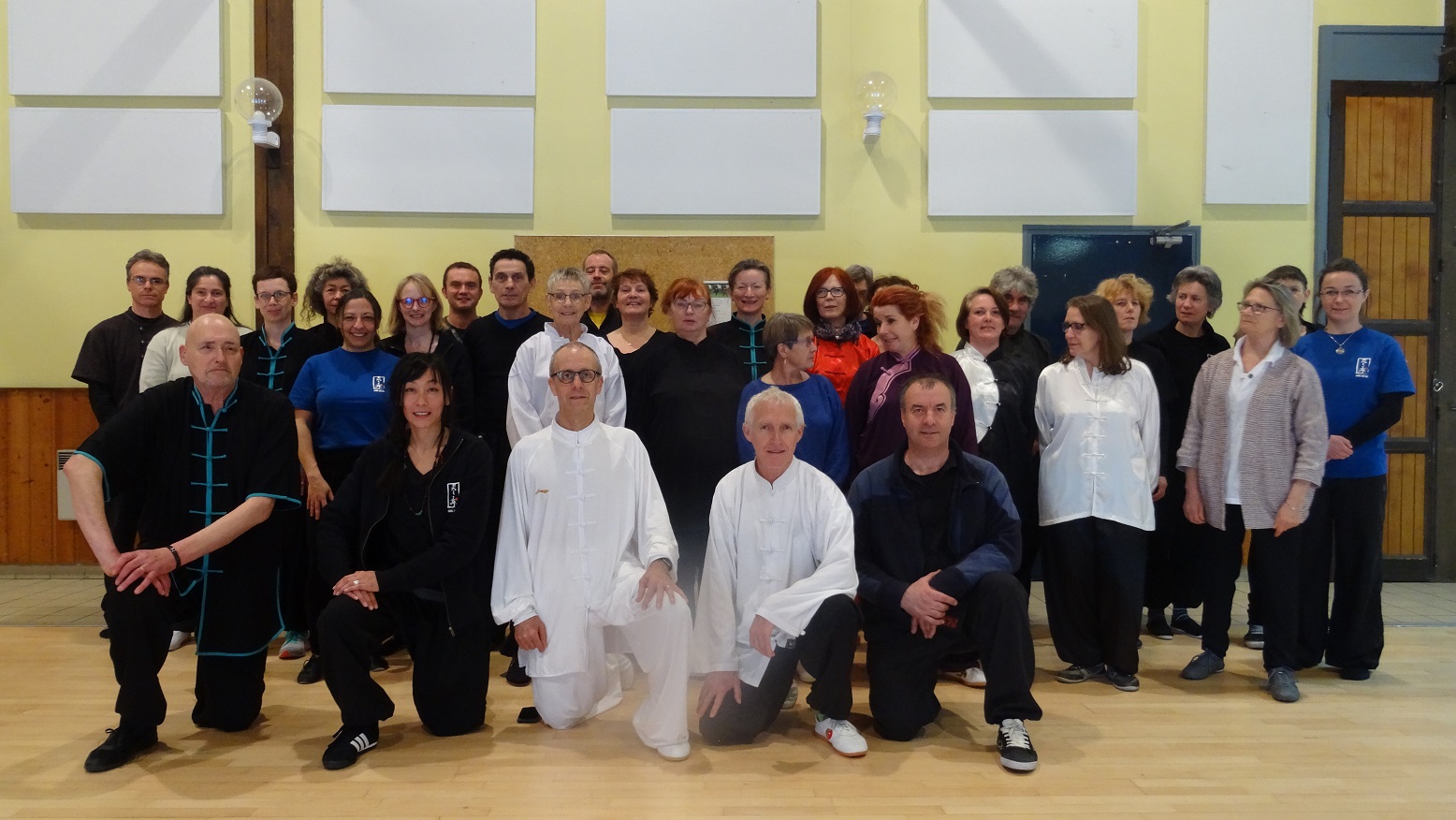 Groupe du stage Tai Chi Chuan 24 Mouvements Yang du 26-05-2017  Bell-Isle-en-Terre dirig par Bertrand GAGNEUX organis par le BKDO Breizh Karat Do