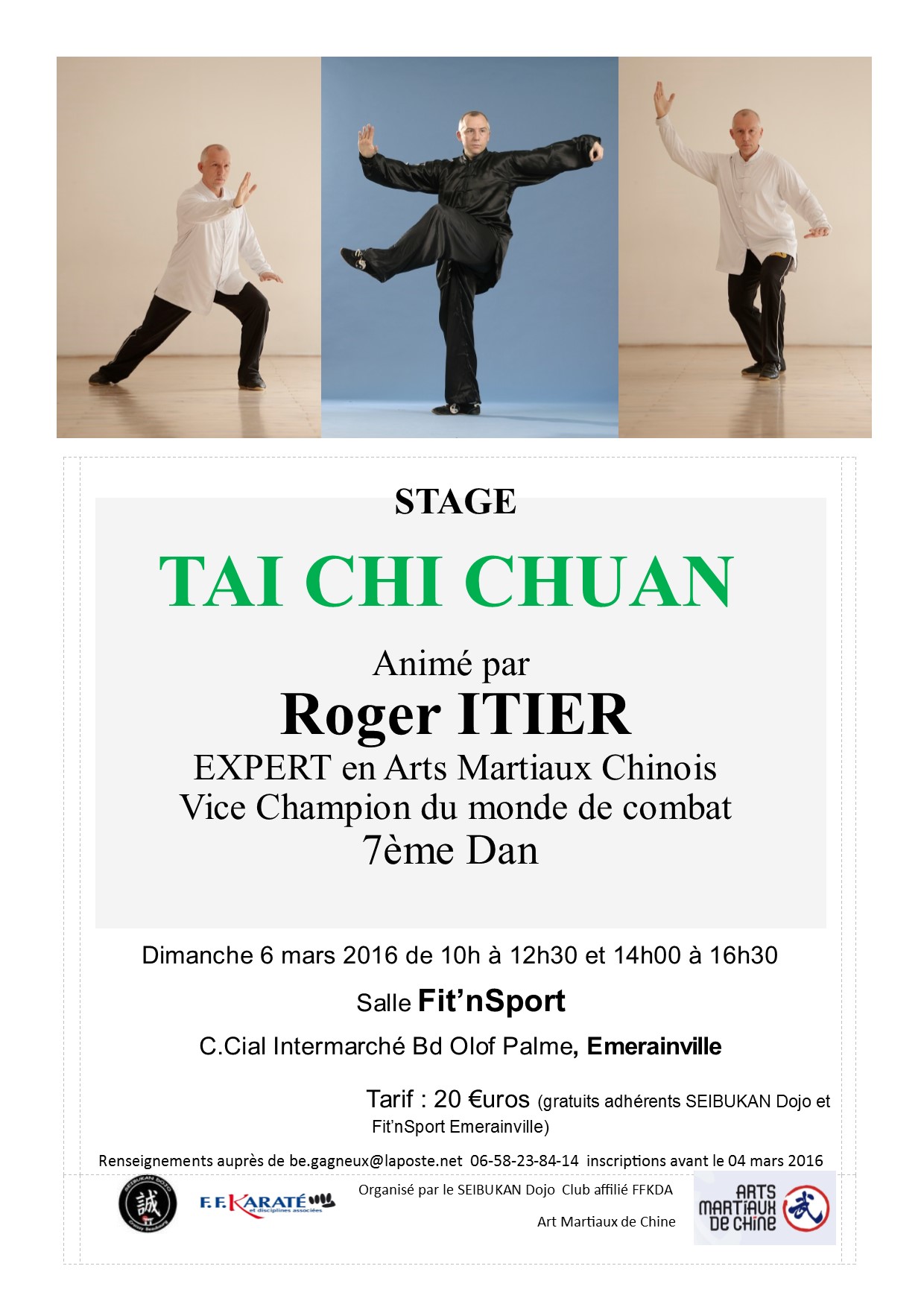 Stage Tai Chi Roger ITIER Bertrand GAGNEUX le 6 mars 2016 Emerainville