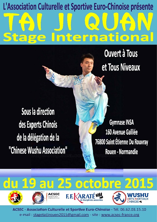 Stage Taiji Rouen 2015