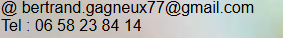 contacter Bertrand GAGNEUX