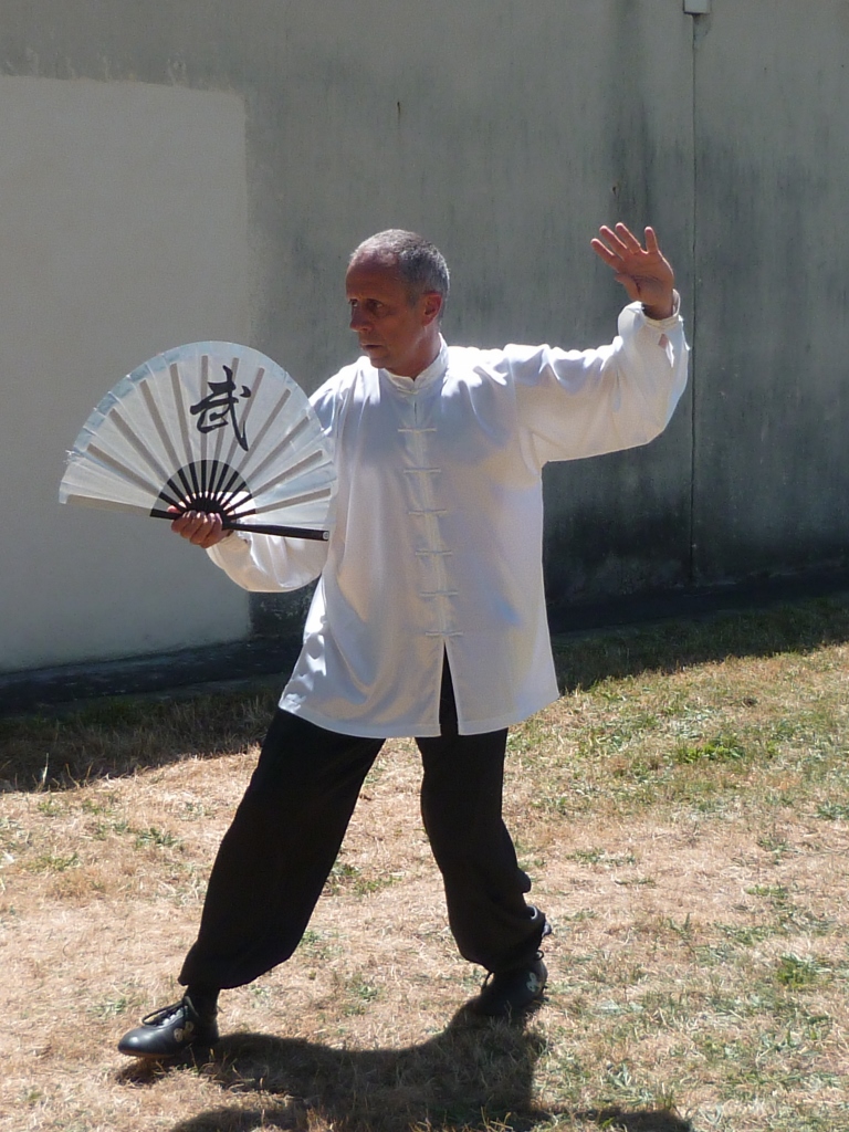 Tai Chi dmo CSME Karat Eaubonne 27/06/2015