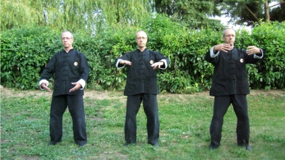zhan zhuang - l'arbre Tai Chi Emerainville Croissy-Beaubourg Logne Seine et Marne