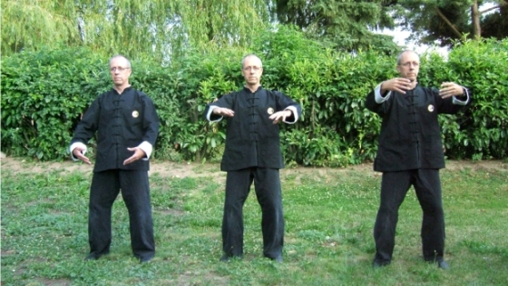 zhan zhuang - l'arbre Tai Chi Emerainville Croissy-Beaubourg Logne Seine et Marne