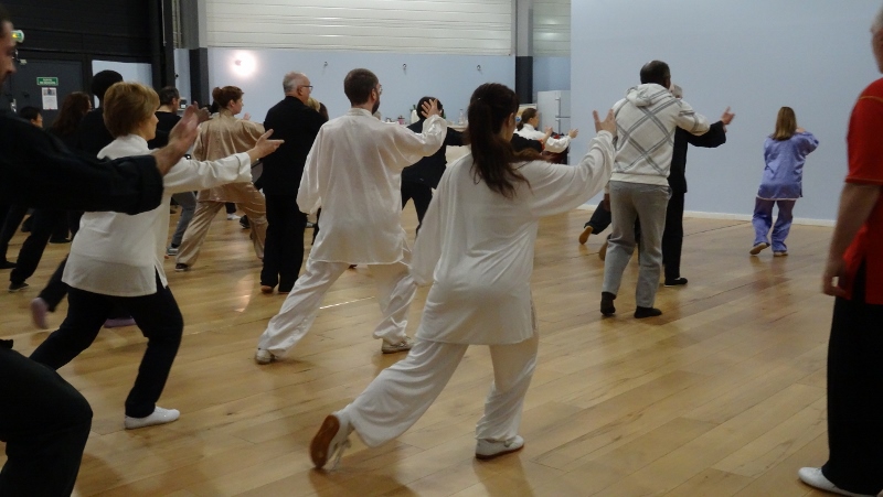 Stage Tai Chi Yang 06-03-2016 Emerainville Roger ITIER Bertrand GAGNEUX