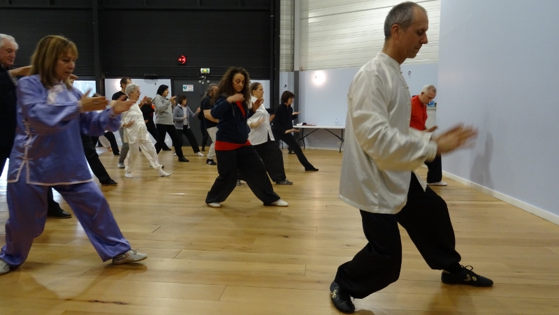 Stage Tai Chi Yang 06-03-2016 Emerainville Roger ITIER Bertrand GAGNEUX