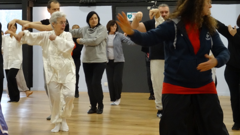 Stage Tai Chi Yang 06-03-2016 Emerainville Roger ITIER Bertrand GAGNEUX