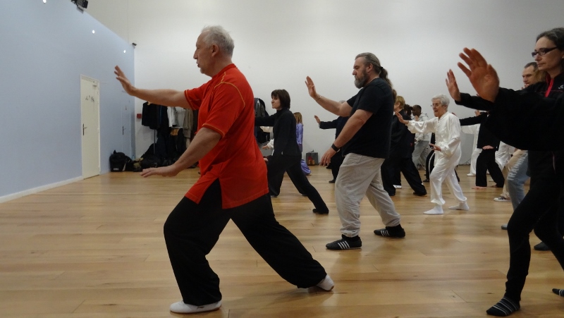 Stage Tai Chi Yang 06-03-2016 Emerainville Roger ITIER Bertrand GAGNEUX