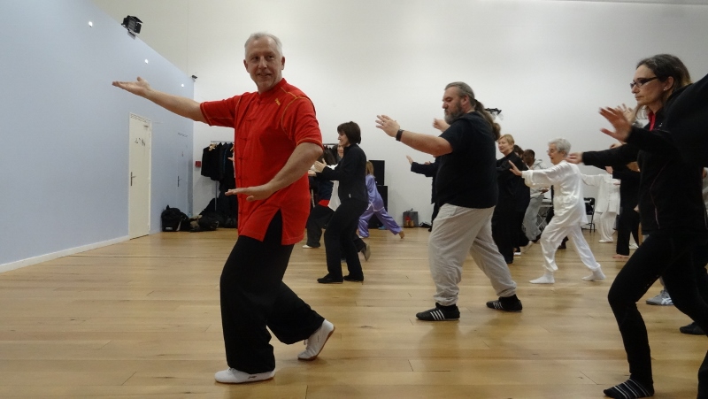 Stage Tai Chi Yang 06-03-2016 Emerainville Roger ITIER Bertrand GAGNEUX