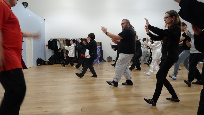 Stage Tai Chi Yang 06-03-2016 Emerainville Roger ITIER Bertrand GAGNEUX