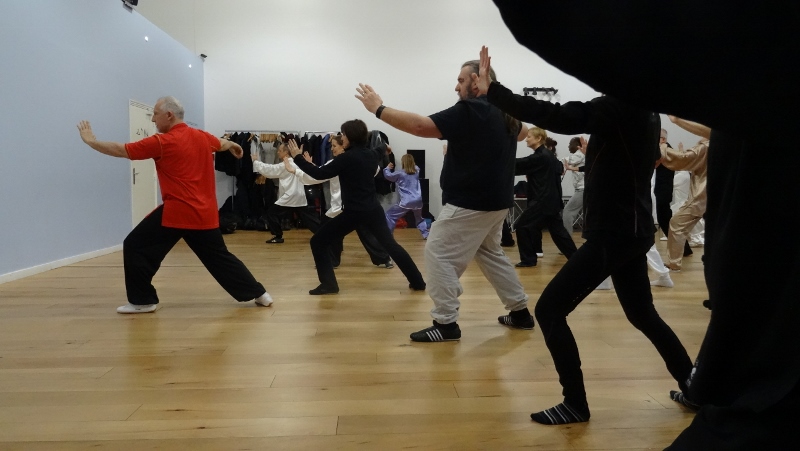 Stage Tai Chi Yang 06-03-2016 Emerainville Roger ITIER Bertrand GAGNEUX